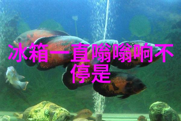 双十一肉博这一场价格战搞不垮家电业